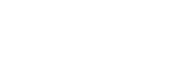 DHM